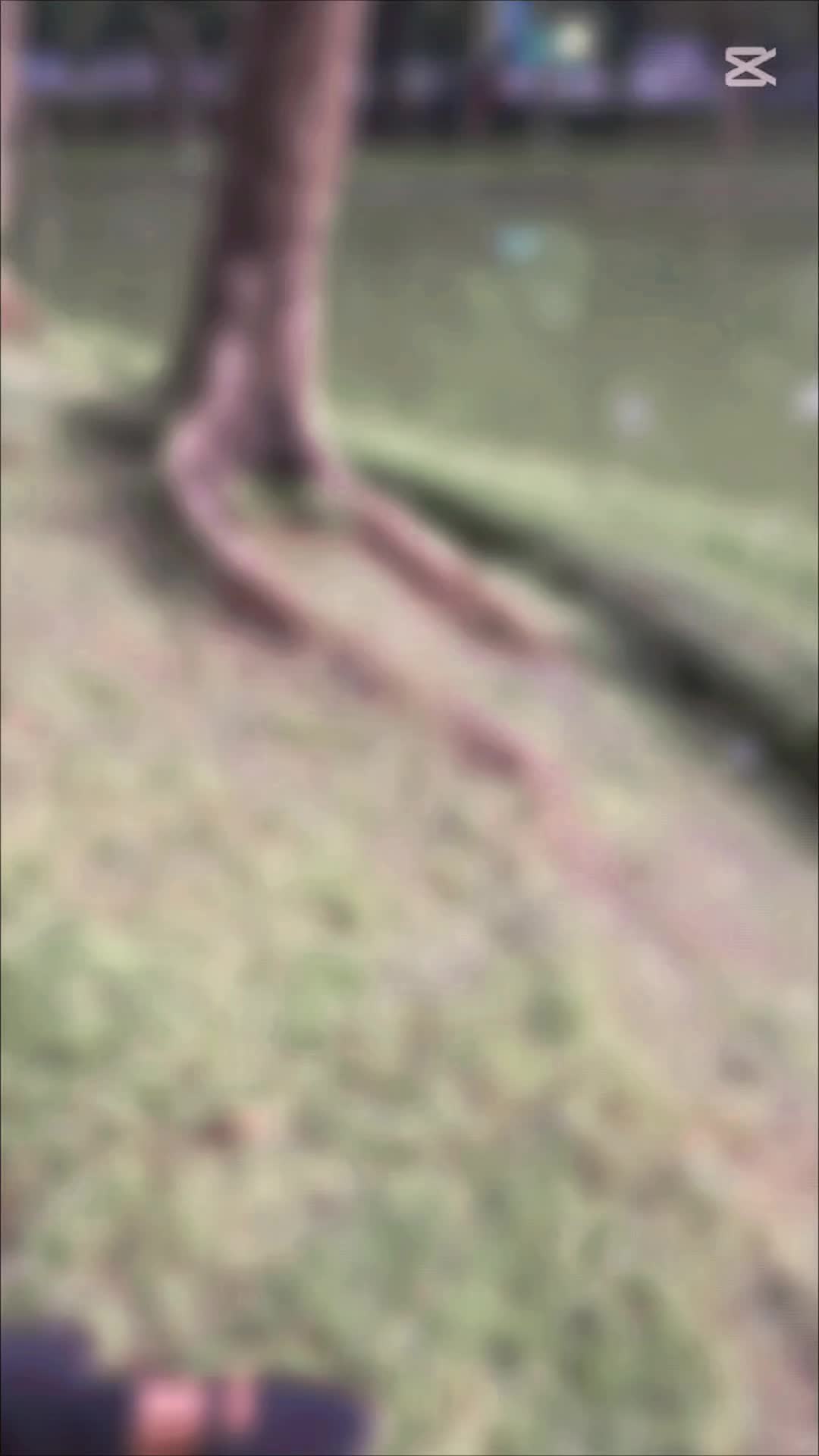 @S.