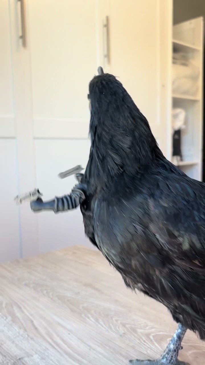 @Souldakota2.0