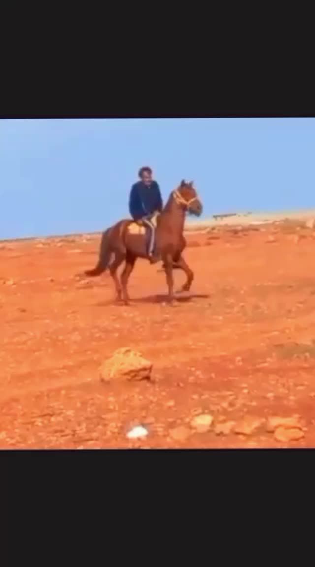 @صالح بن علي