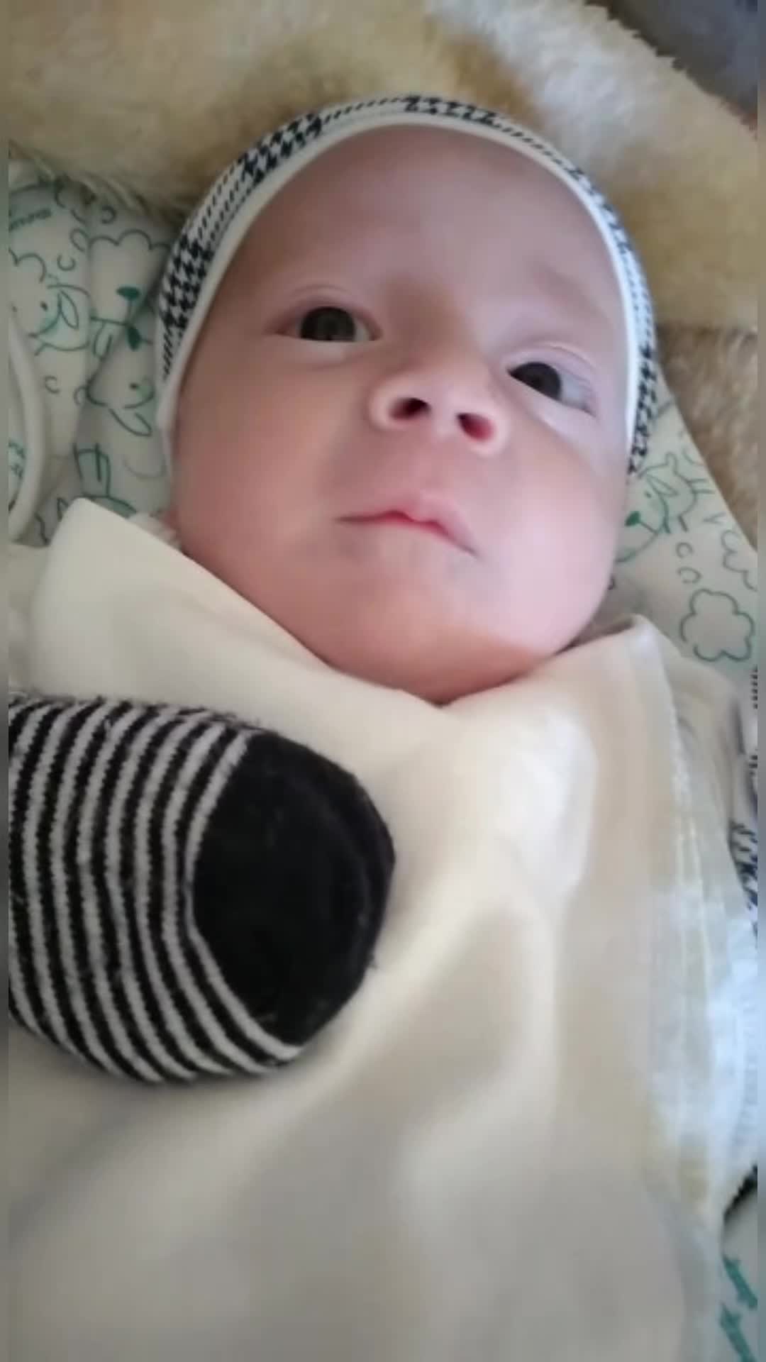 @melek su su