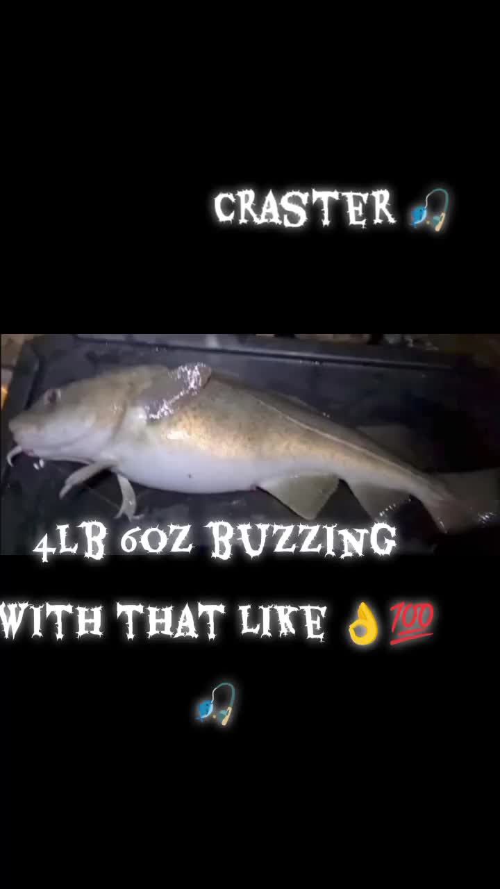 @User101