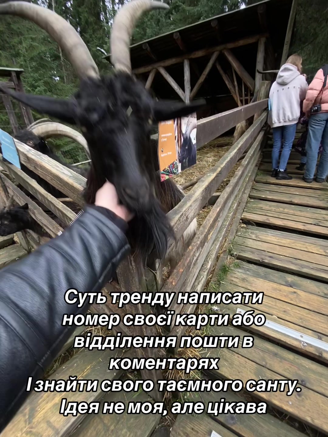 @Сніжана Слободянюк