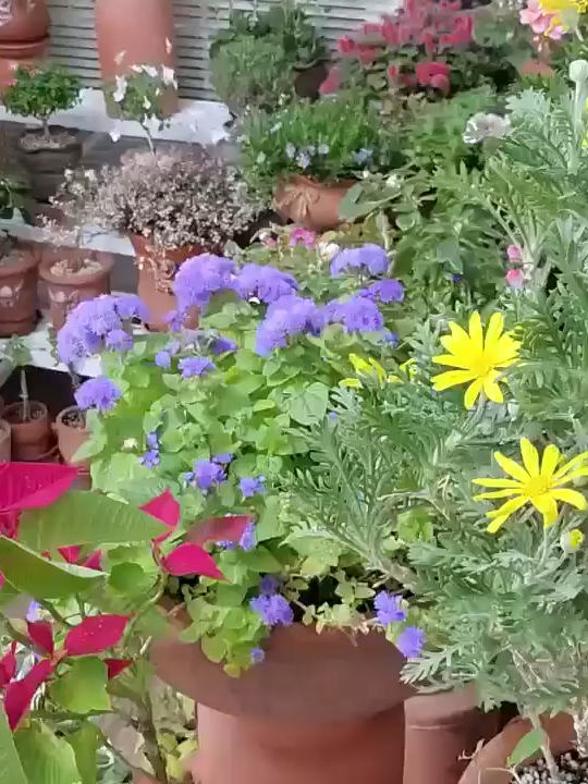 @user4429810718194