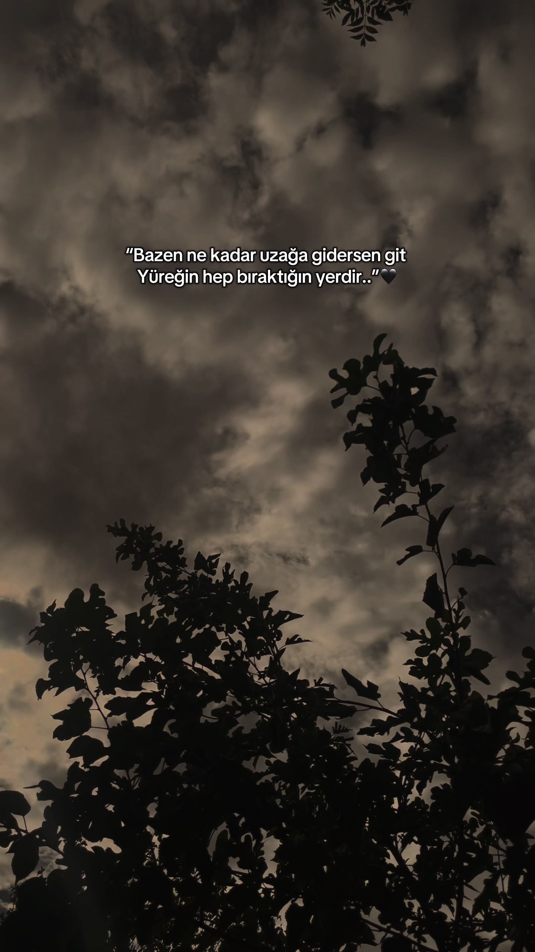 @meralsimsekk1