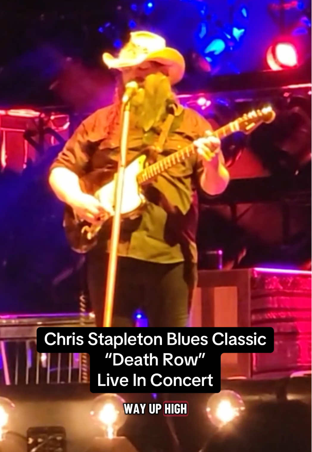 @Stapleton Fan