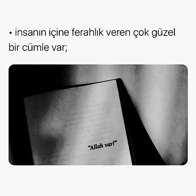 @🤍