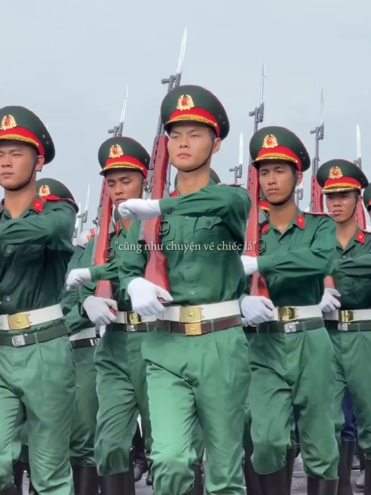@Trungthjn