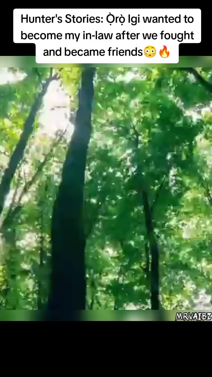 @MrVaibz