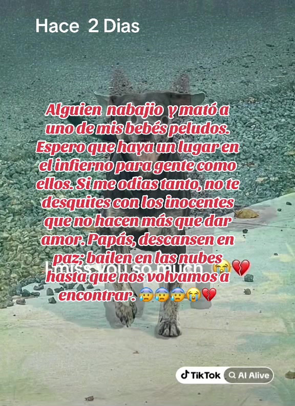@PRINCESA701