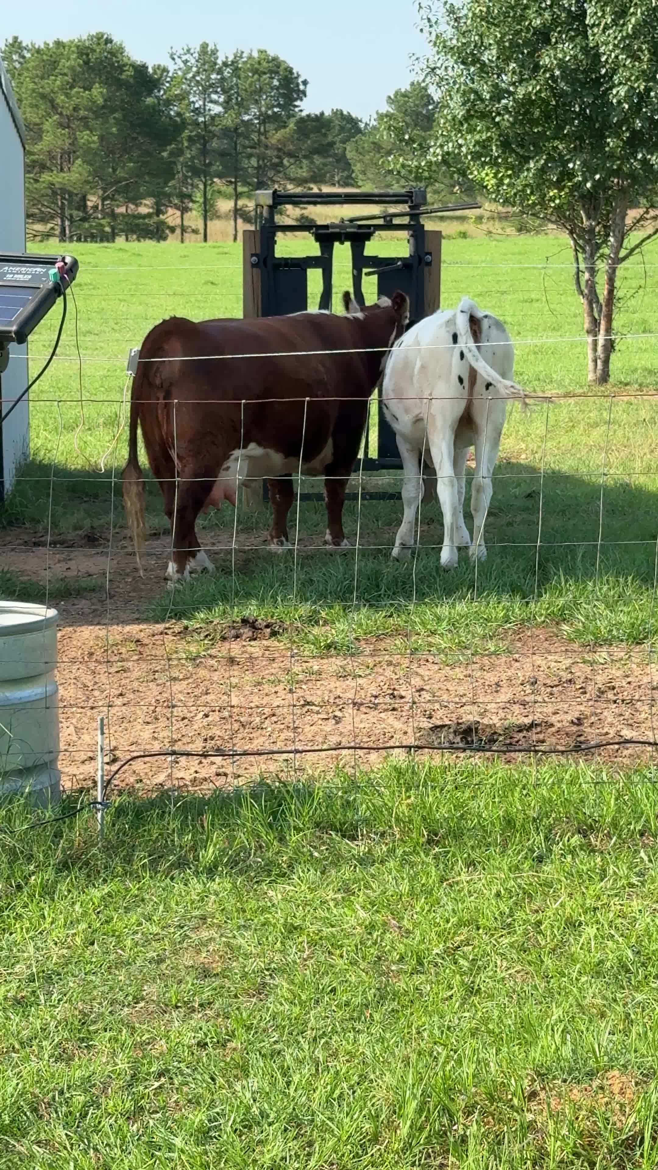 @Cog Hill Farm