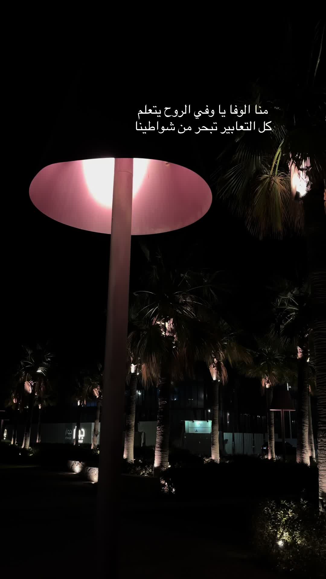 @﮼هديل﮼الخبر 🇸🇦🕊️📸