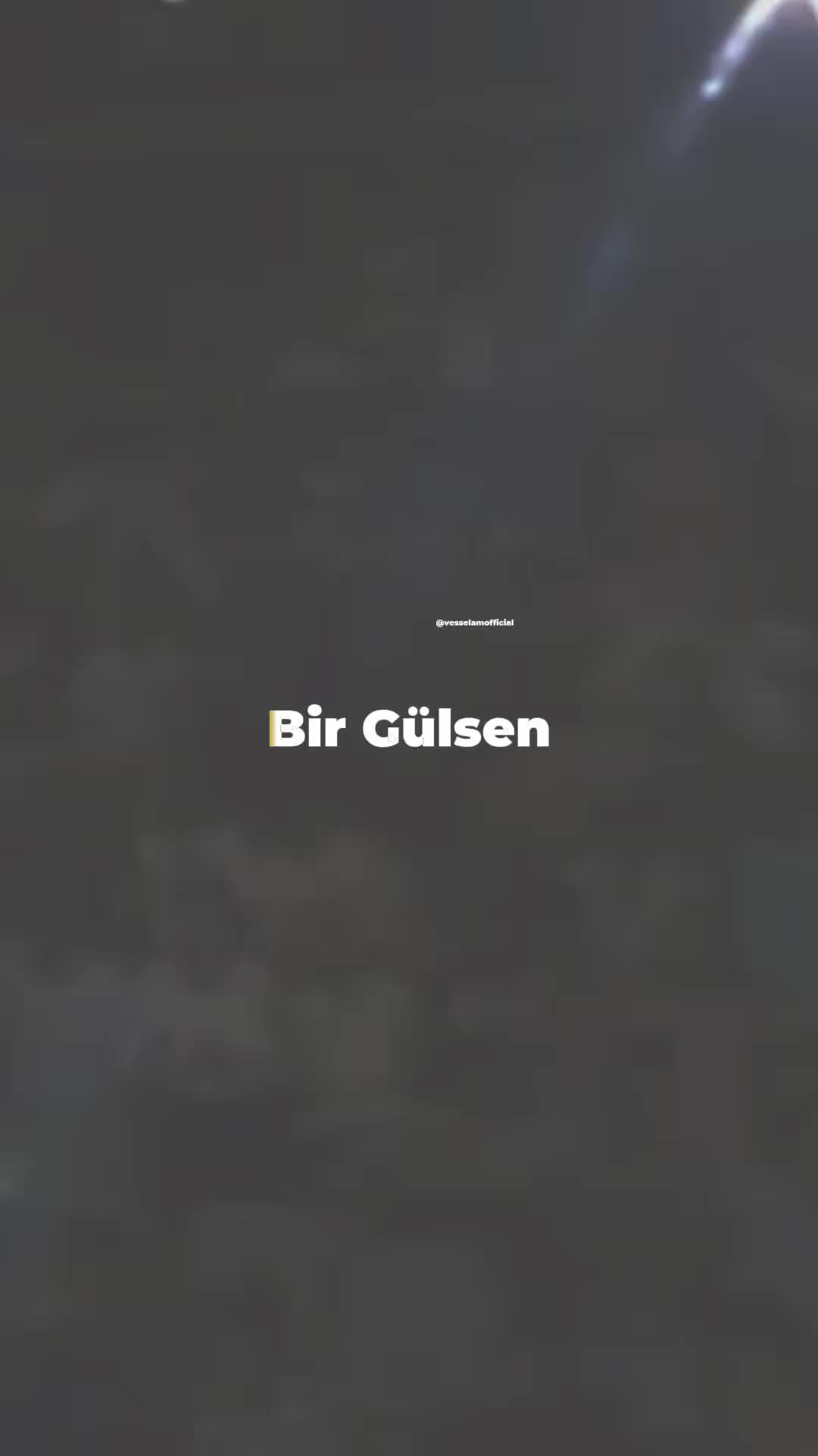 @vesselam02