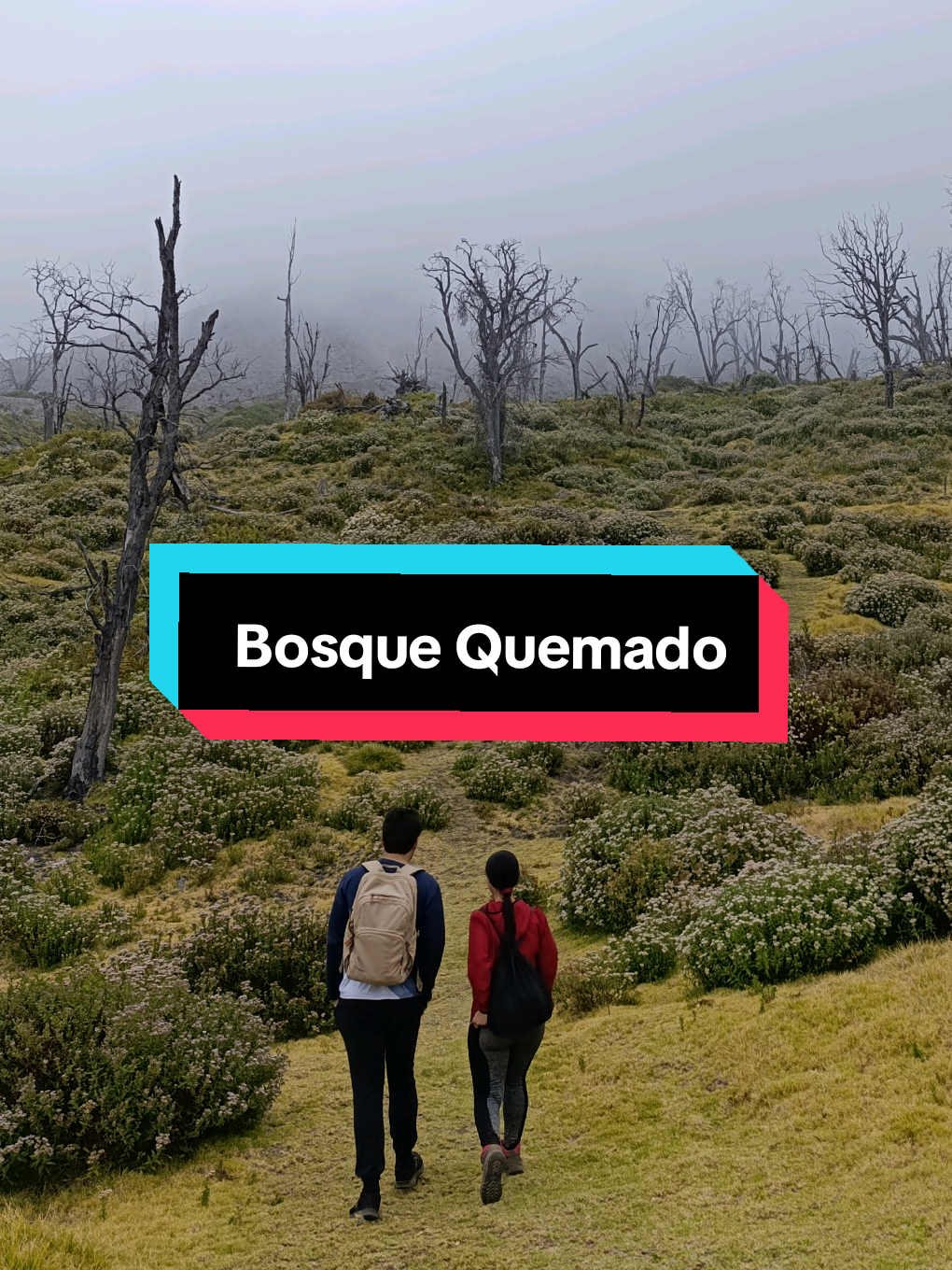 @Rosita explora