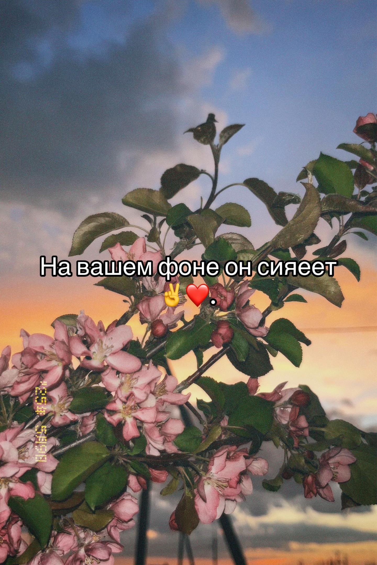 @𝐓𝐚𝐢𝐬𝐬𝐚