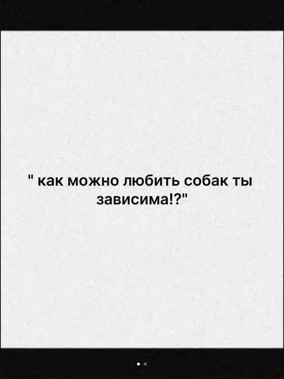 @🐾доберман бруно🐾