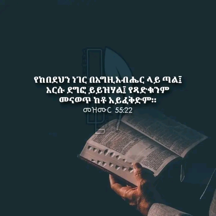 @naftanan77