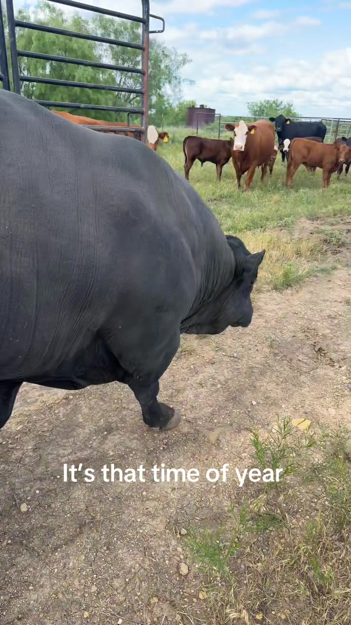 @stefaniwagley