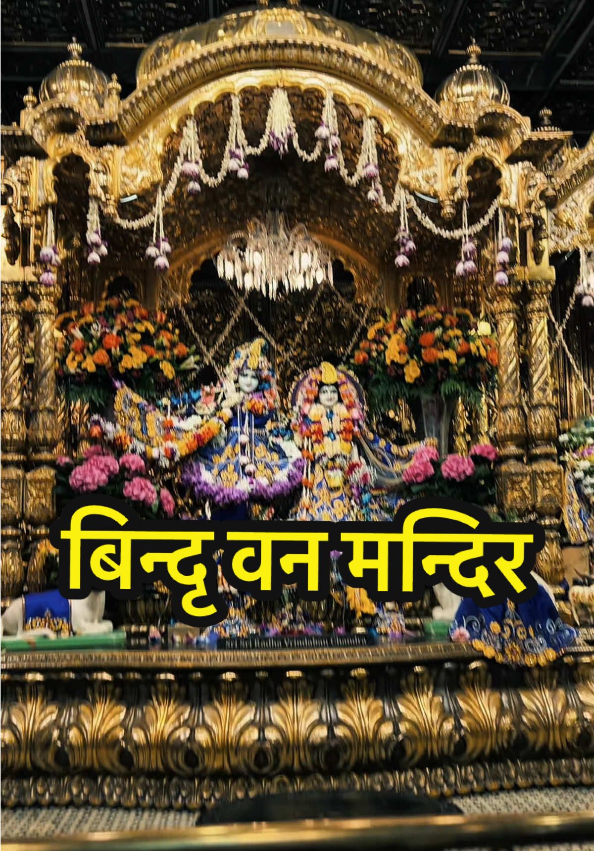 @Eshan5578