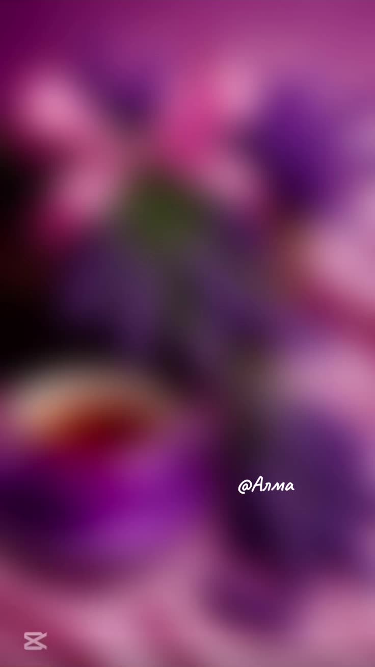 @🌷❤️🌷