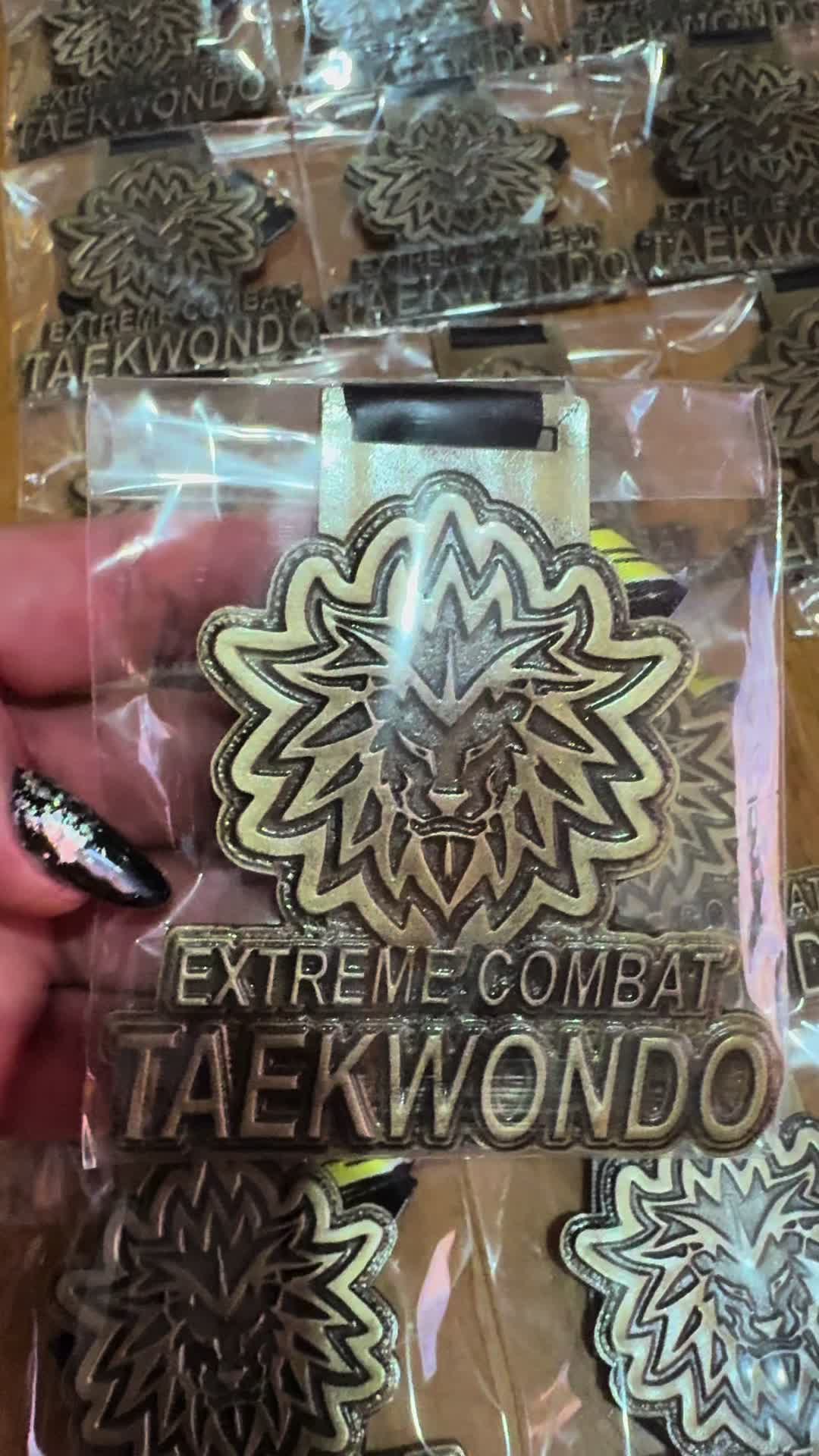 @taekwondolionsteam