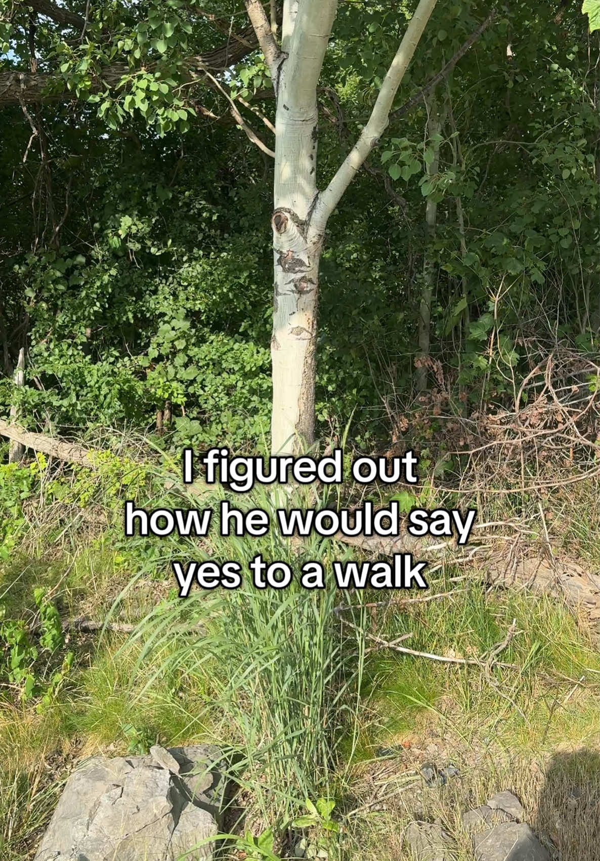 @Amber Warren