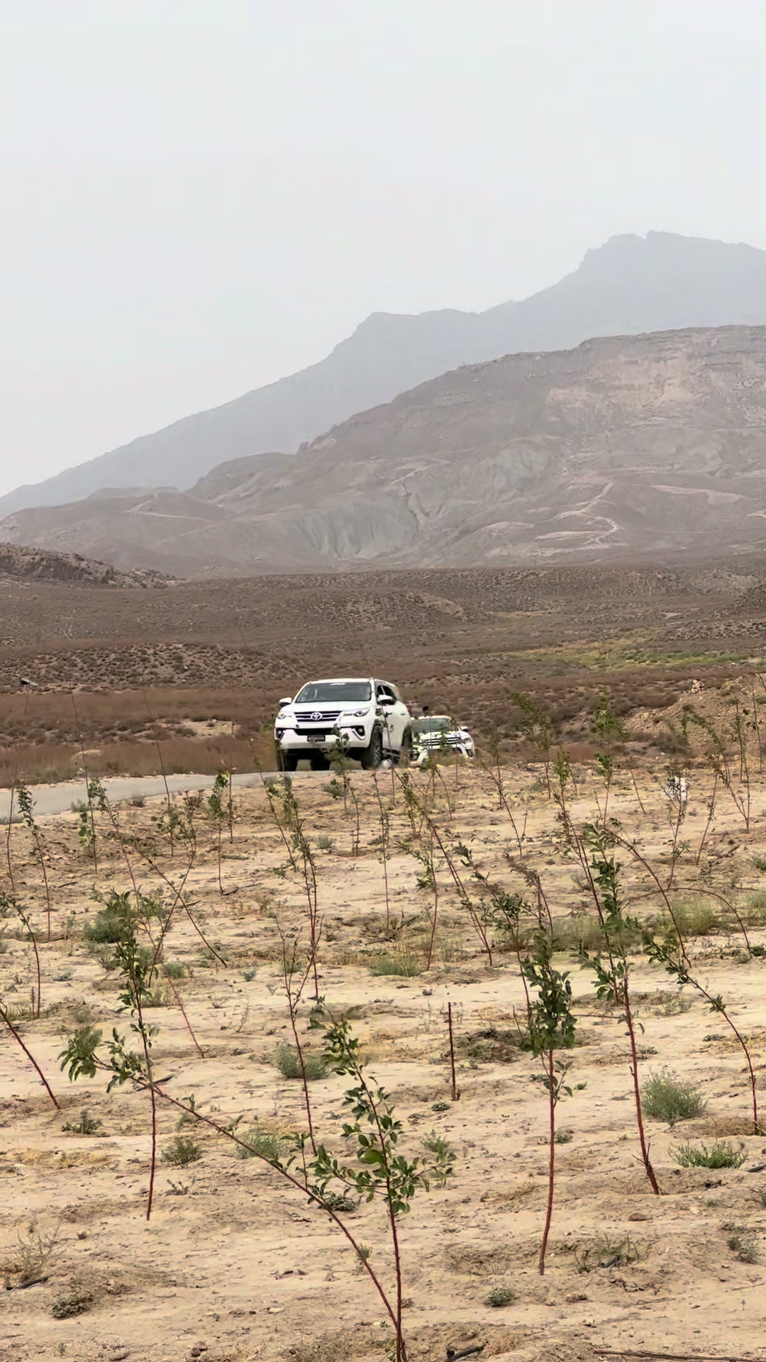 @GUL&ndash;HASSAN&ndash;PANDRANI 75