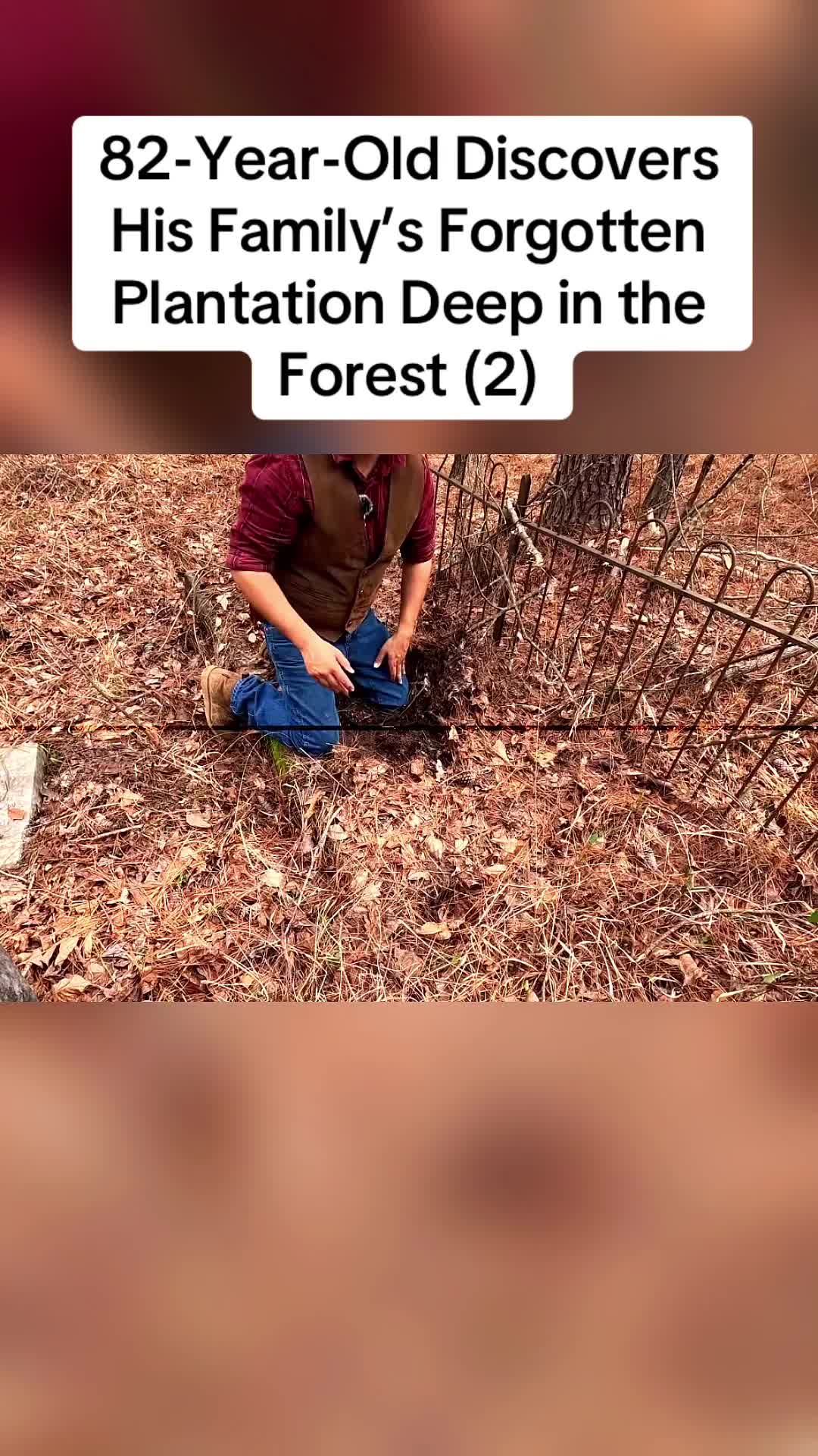 @Animals in nature