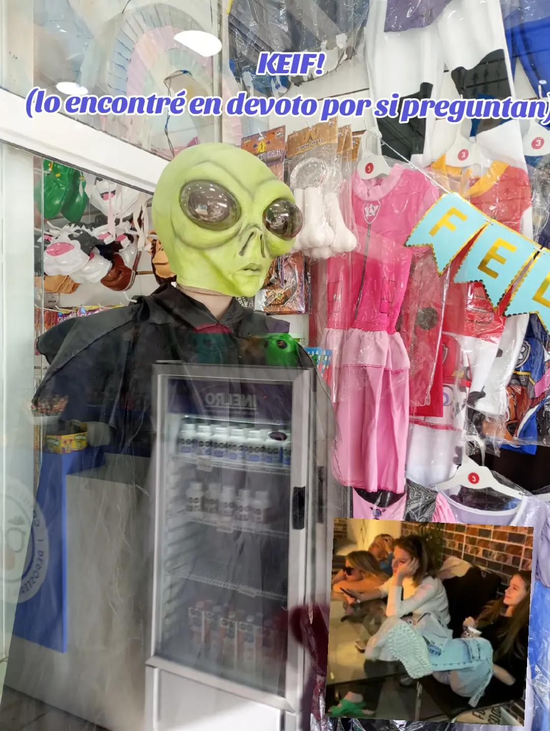 @𝚉𝚞𝚕𝚢𝚢≽^&bull; ˕ &bull; ྀི≼