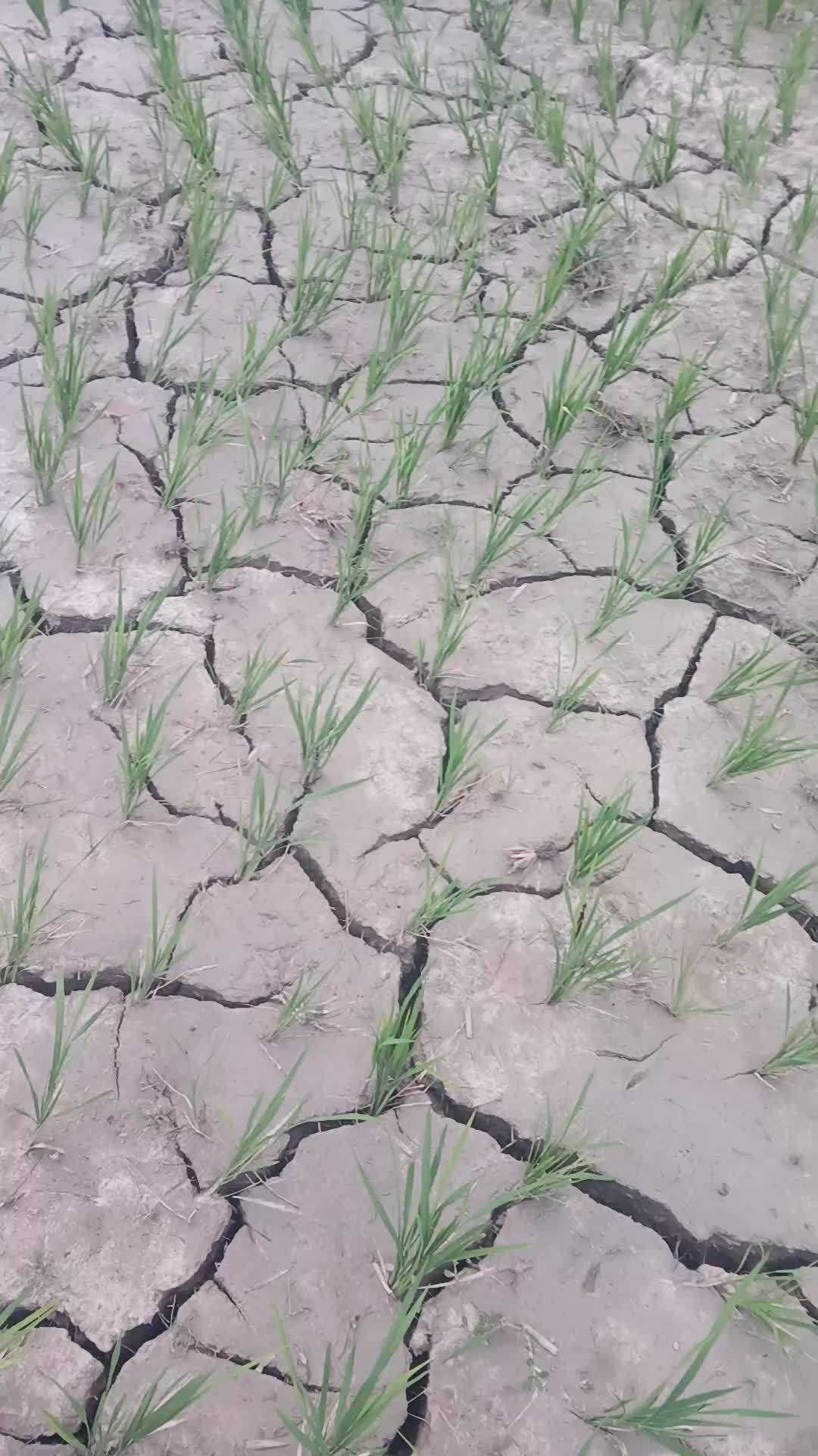 @ramharichaudhary55