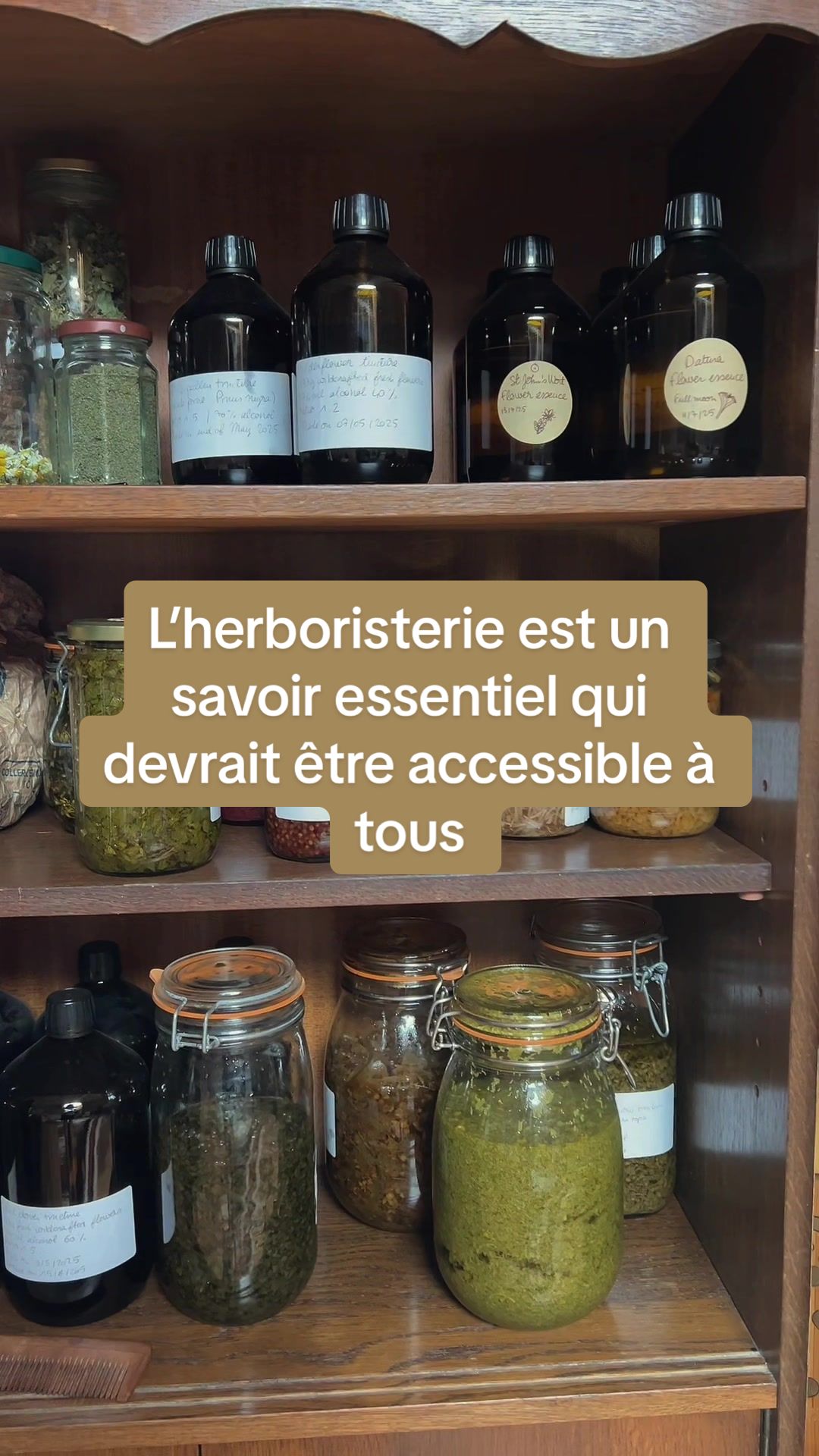 @animabotanica