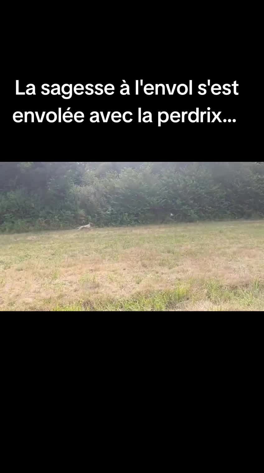 @Mathilde Brnd