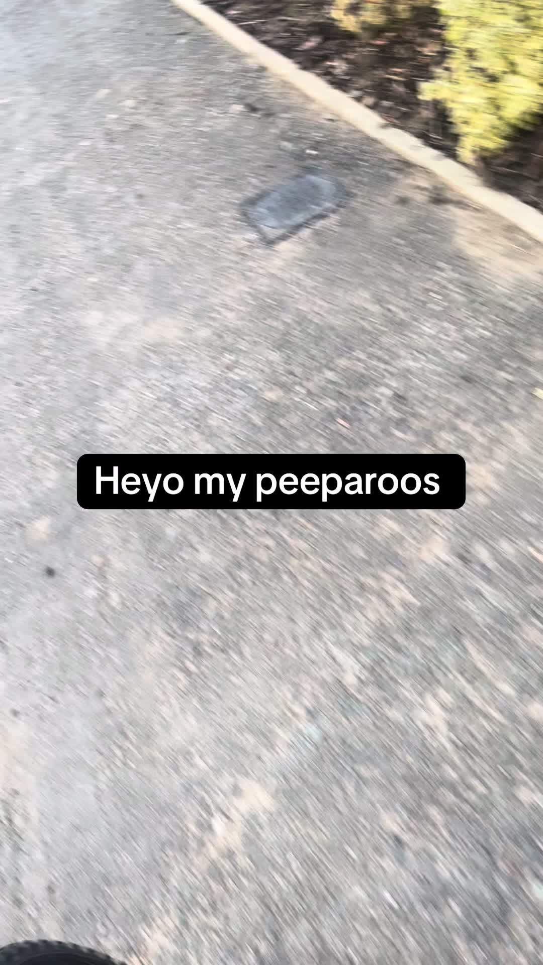 @Rein🦈 • smelling your feet rn