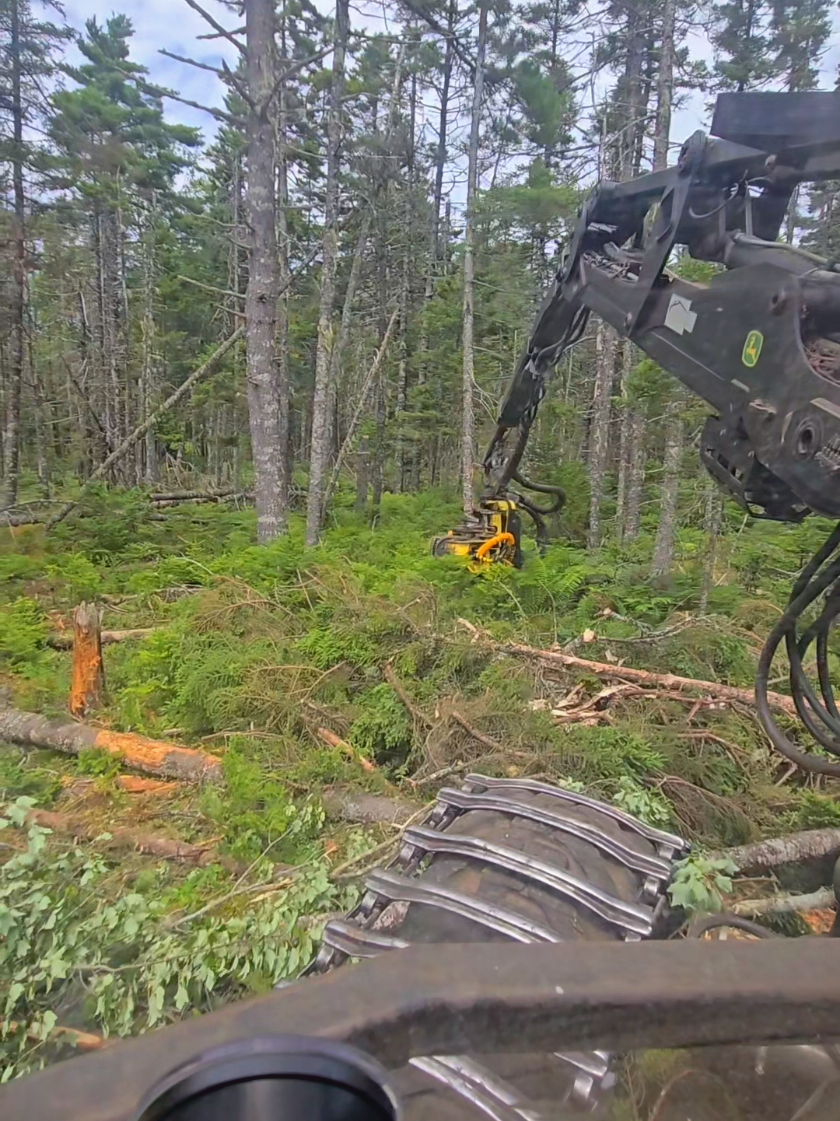 @Nova Scotia Logger