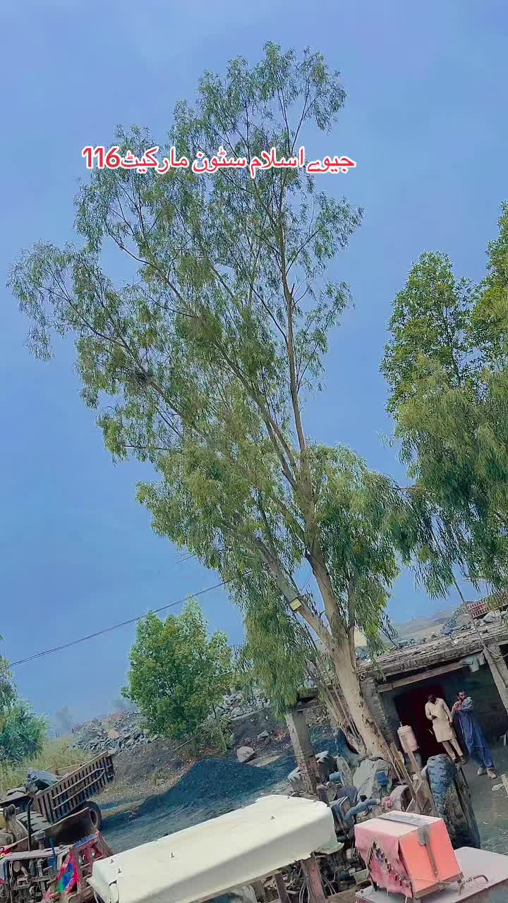 @Bilal.Sial.4490