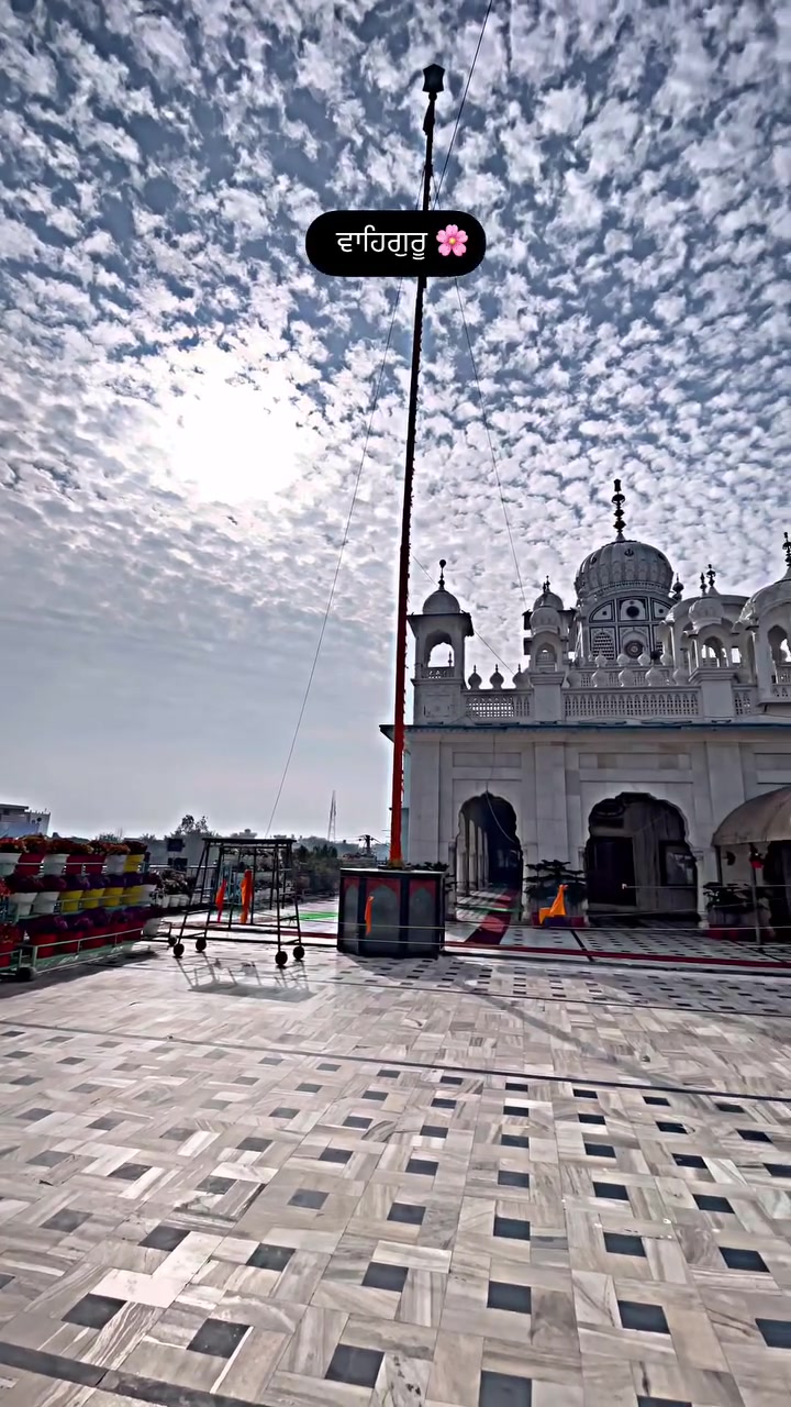 @pulpukhta_sahib