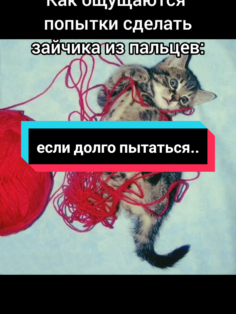 @Котяра в стране Евро-чудес