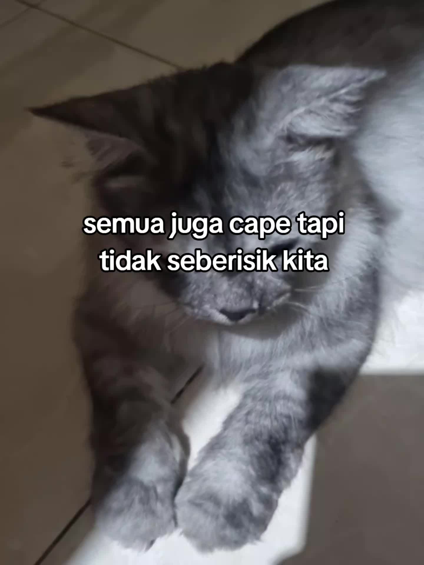 @wariii