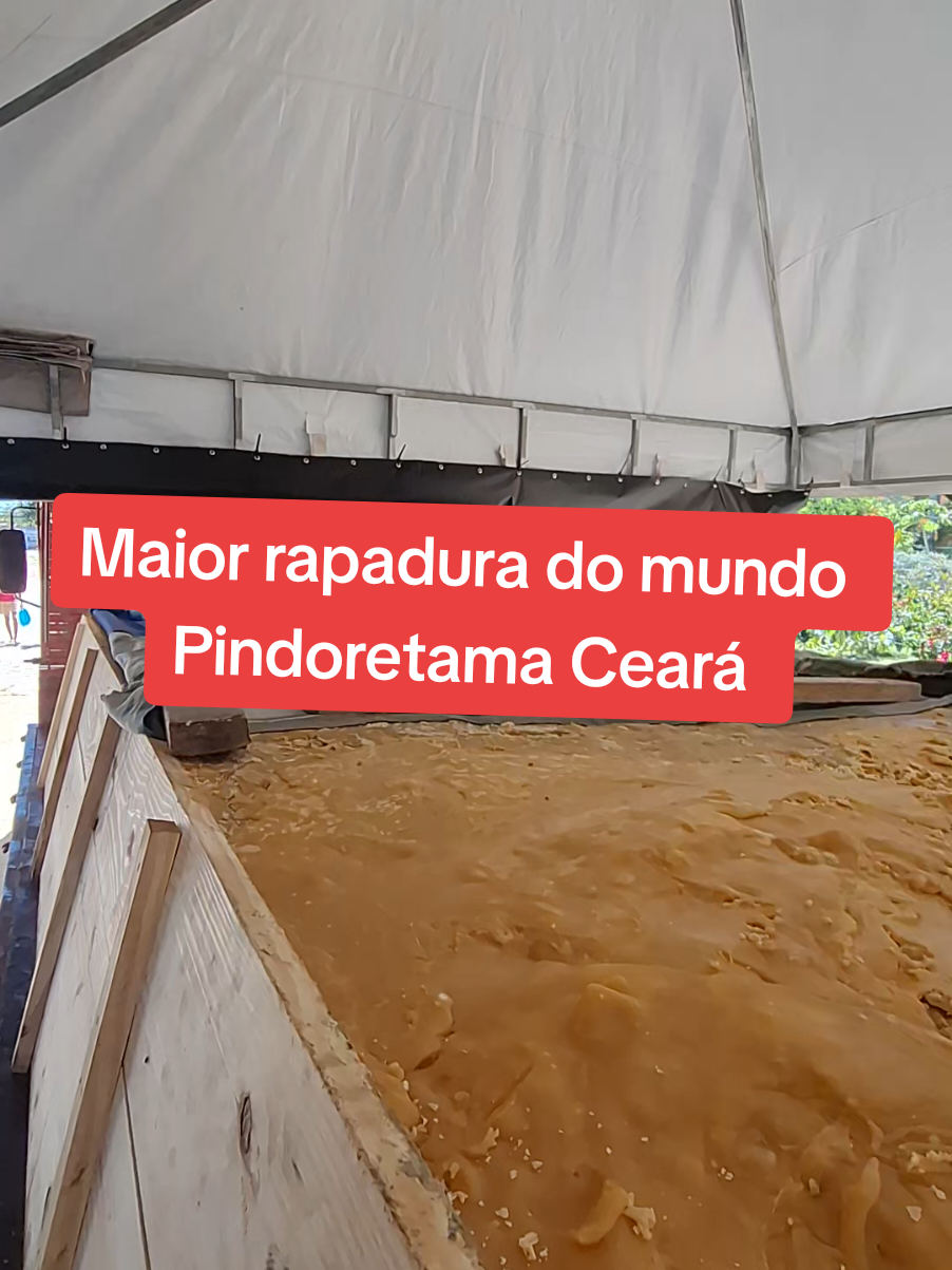 @Adailo Pinheiro