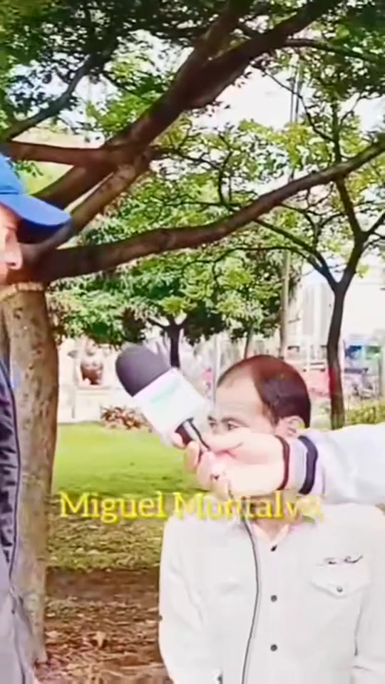 @El te&oacute;logo de la calle
