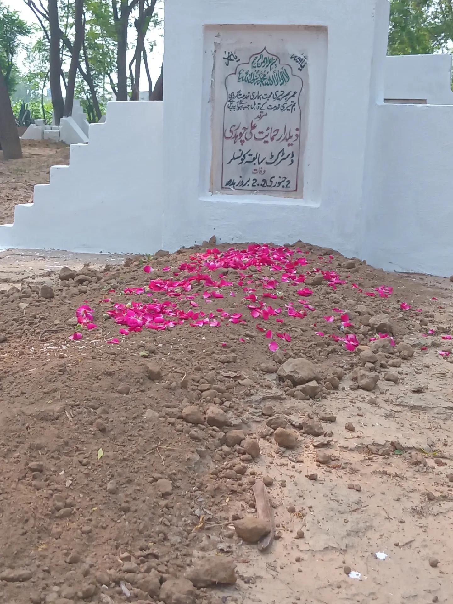 @Zaiلdar Azhar
