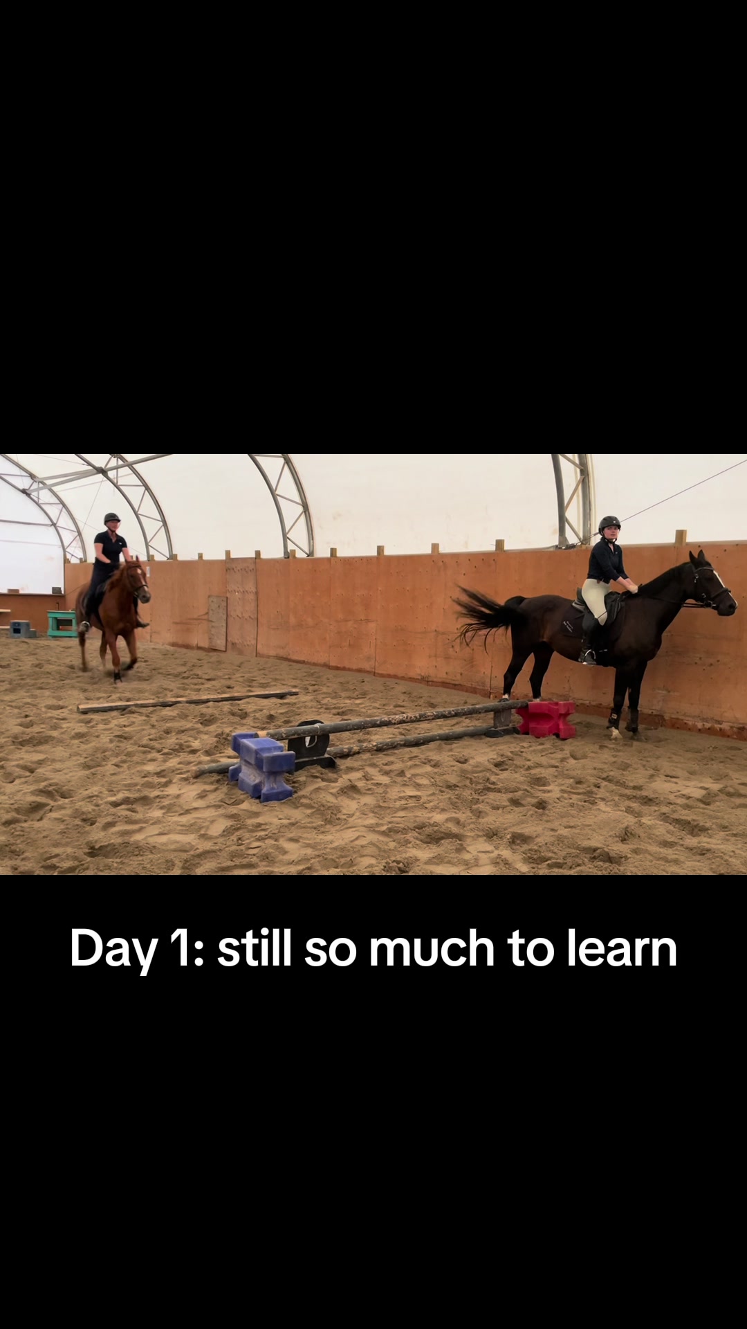 @Karin - Empower Equine app