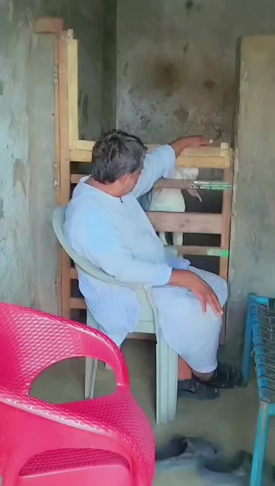 @shaangujjar222