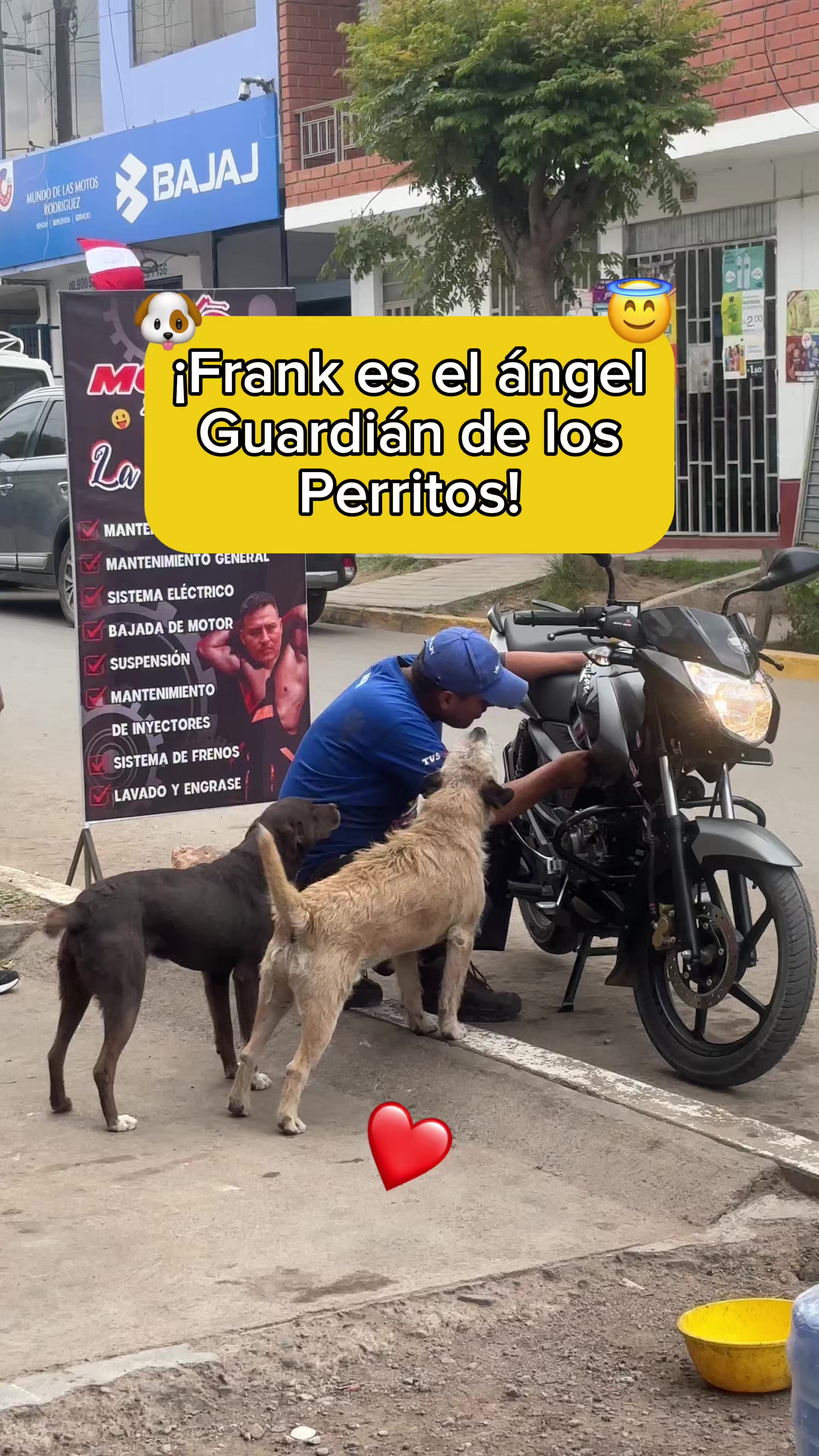 @Cabezotas 🐶
