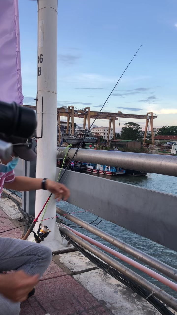 @c&acirc;u c&aacute; Nha Trang