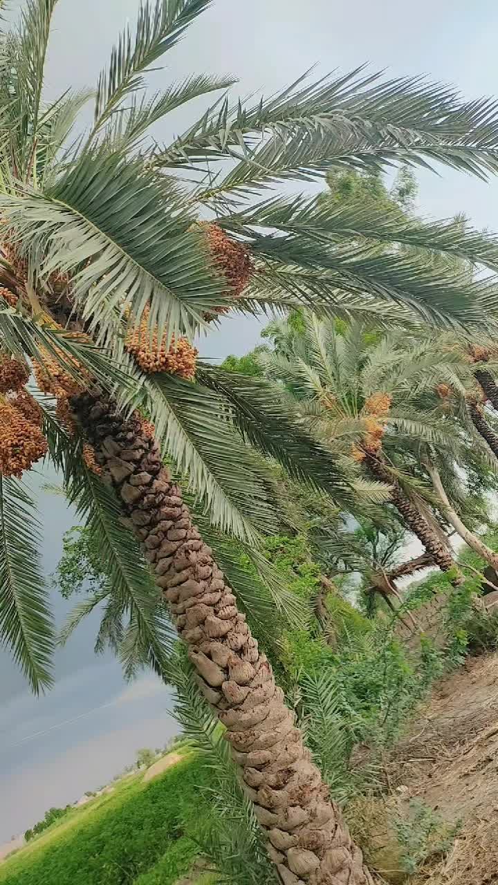 @Atta_Sain_110