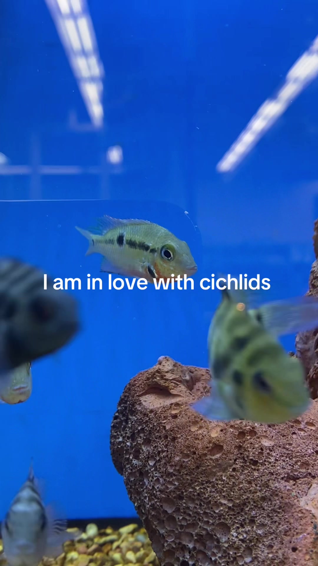 @Chyanne 🐟❤️