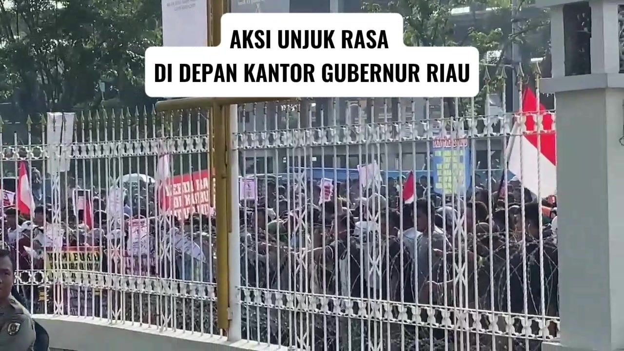 @PKC TODAY