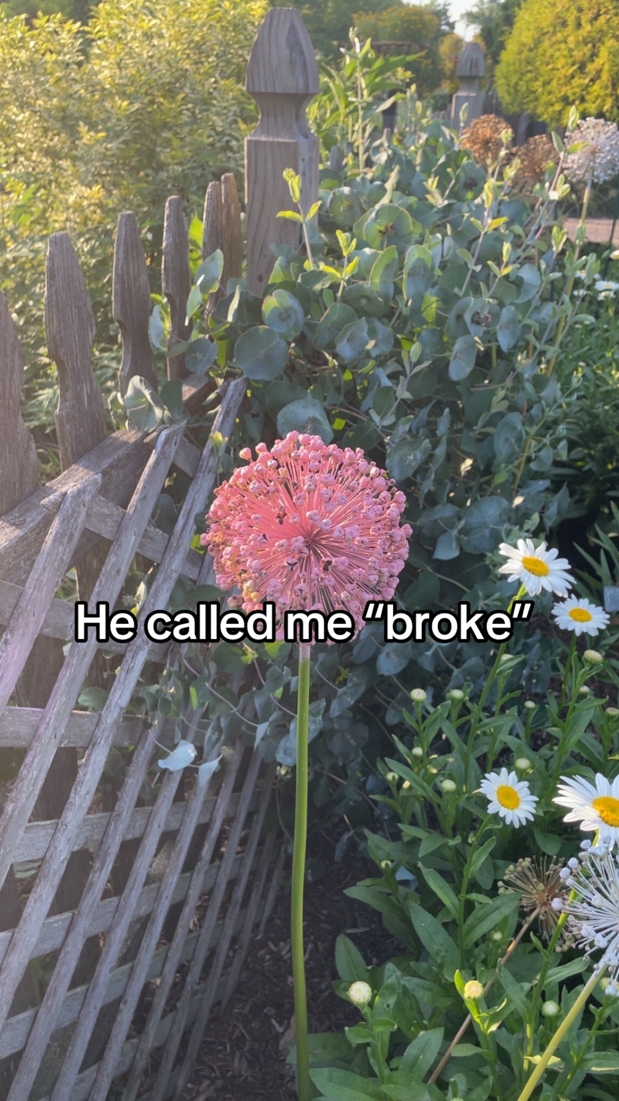 @Ace