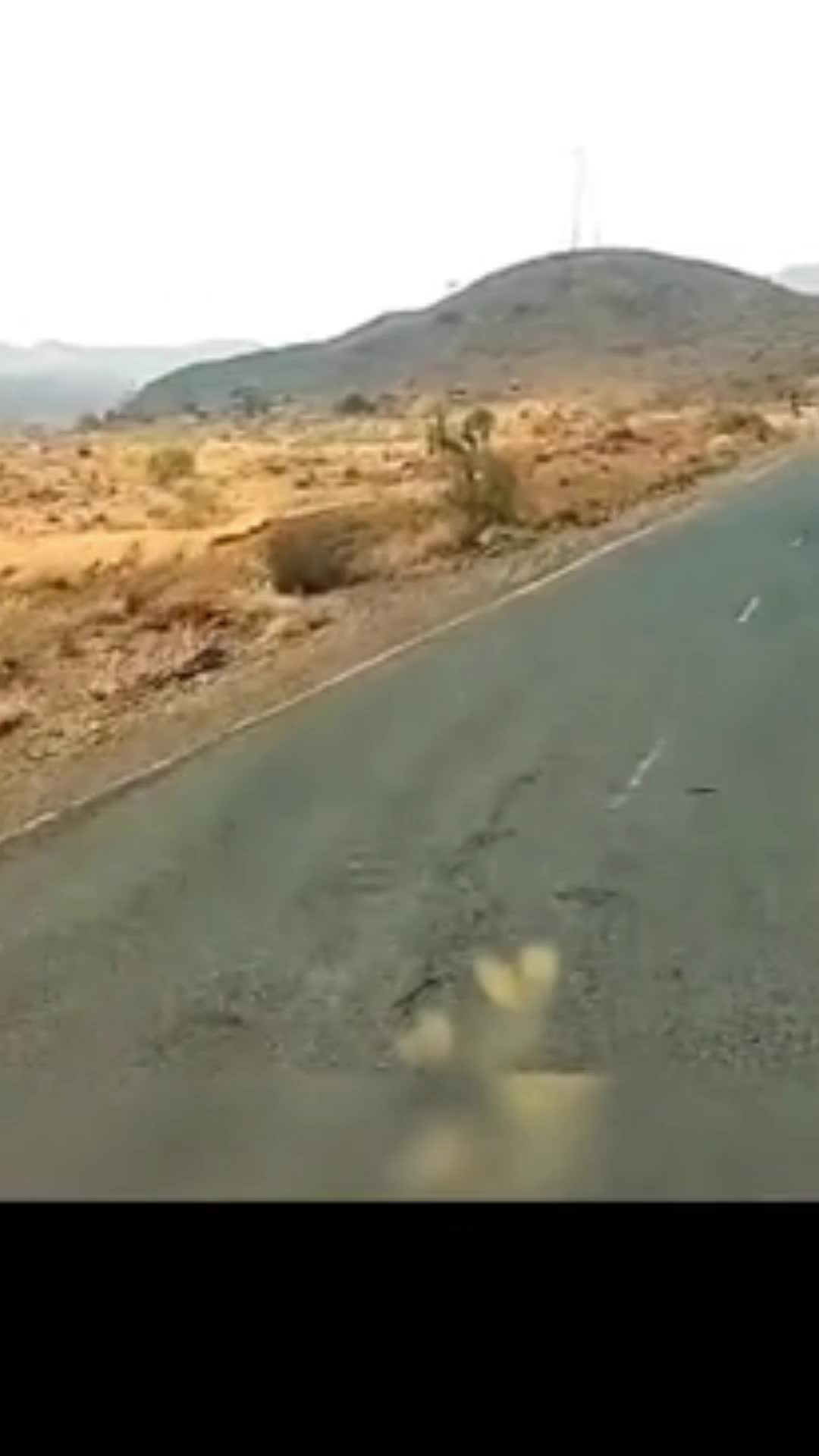 @2Adam23🇪🇹✍️