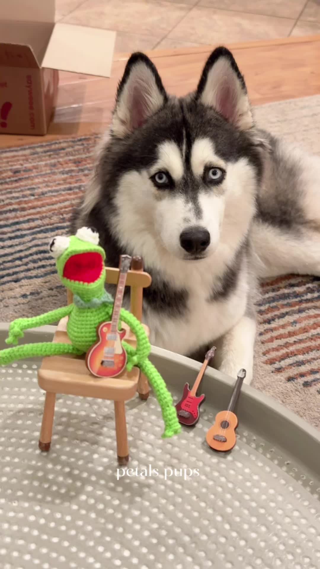 @petals pups handmade studio